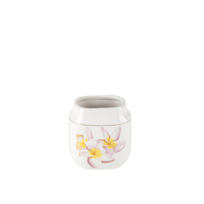 Cıse Diş Fırçalık - Primanova